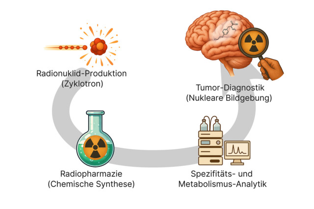 Using radio pharmaceuticals in tumor diagnosis